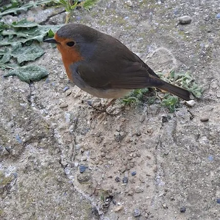 Casetta Con Vista بيت للعطل