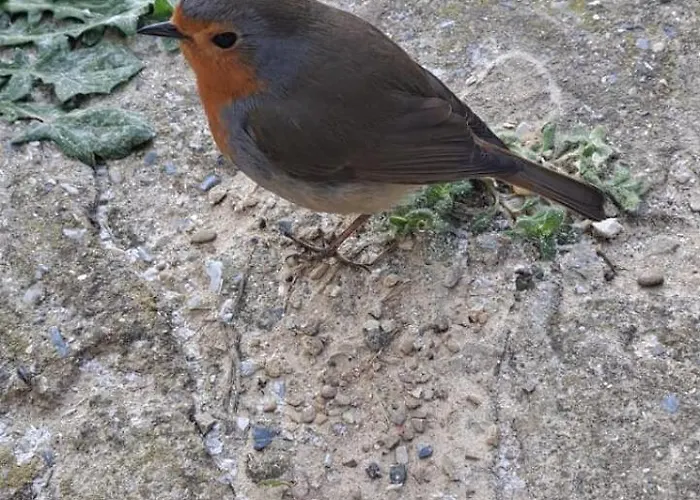 Casetta Con Vista بيت للعطل